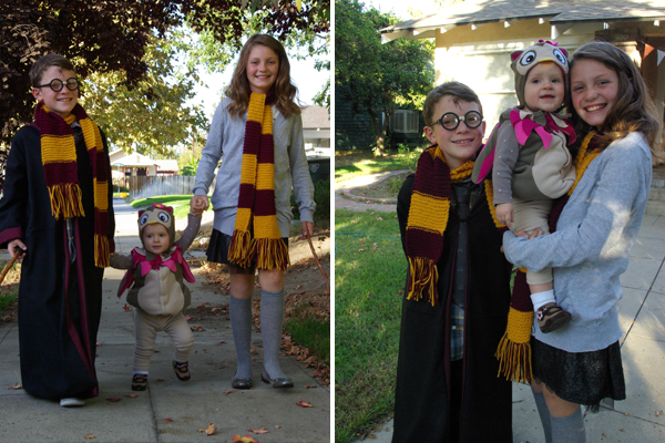 Harry Potter, Hermione, and Hedwig Halloween Costumes