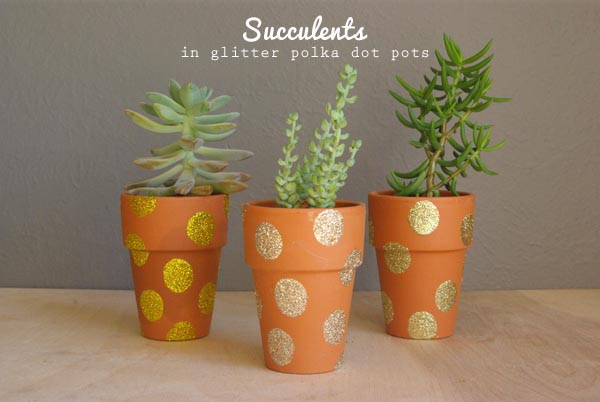 Potted Succulent Gifts | Oleander + Palm