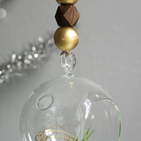 Air Plant Christmas Ornaments