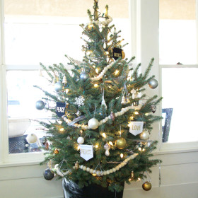 Colorado Blue Spruce Potted Christmas Tree