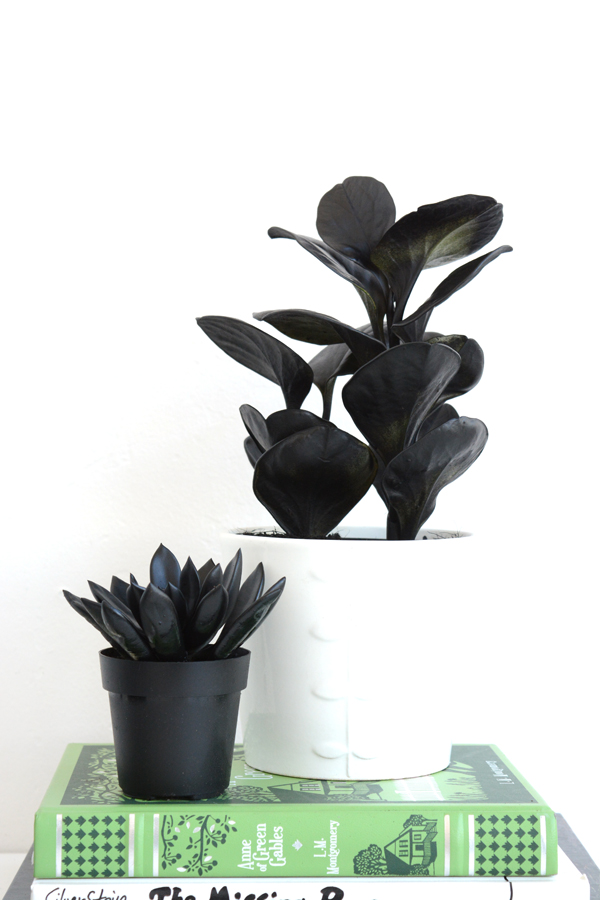 black plants
