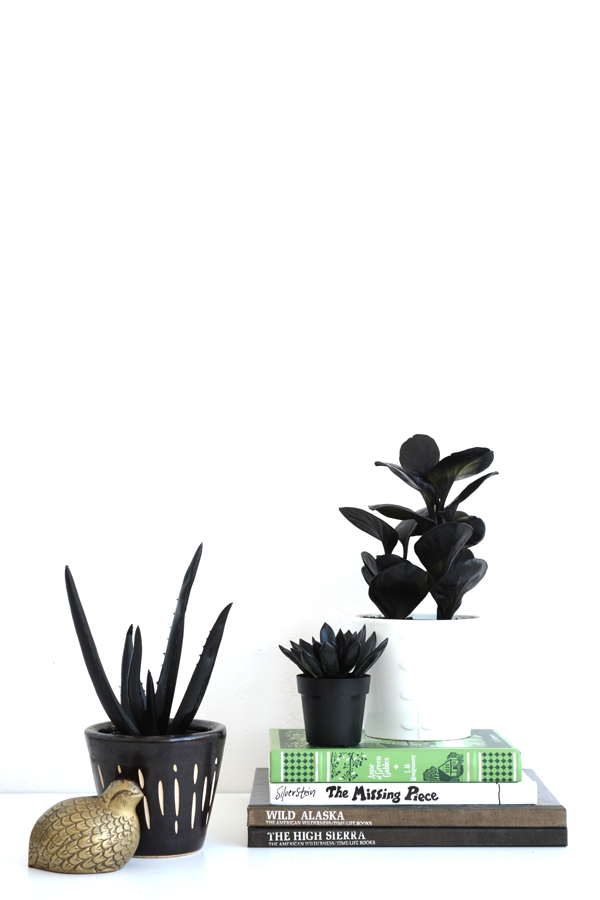 Happy April Fools Day! -paint plants black