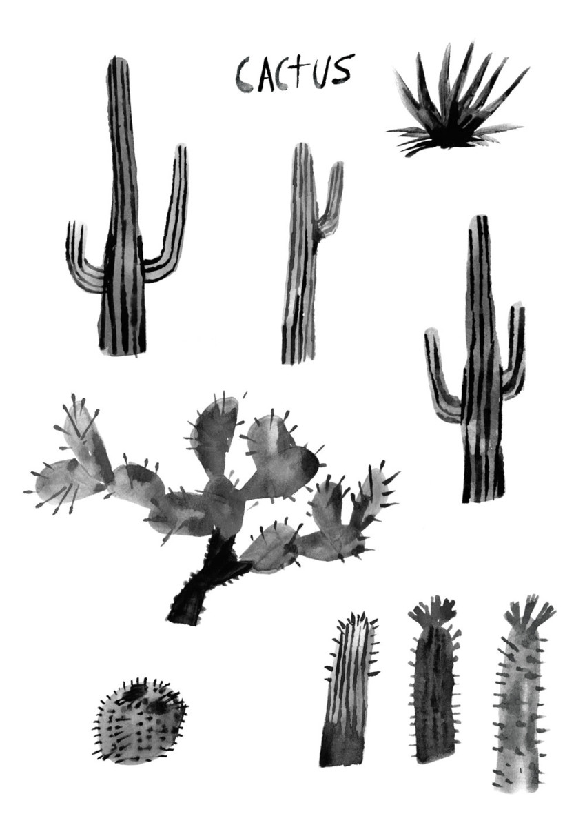 black cactus illustration