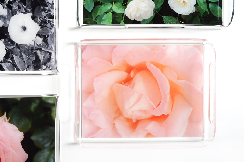 garden rose acrylic trays