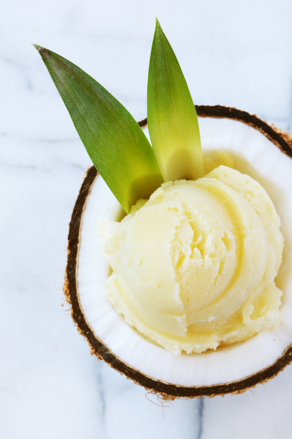 Pina Colada Sorbet