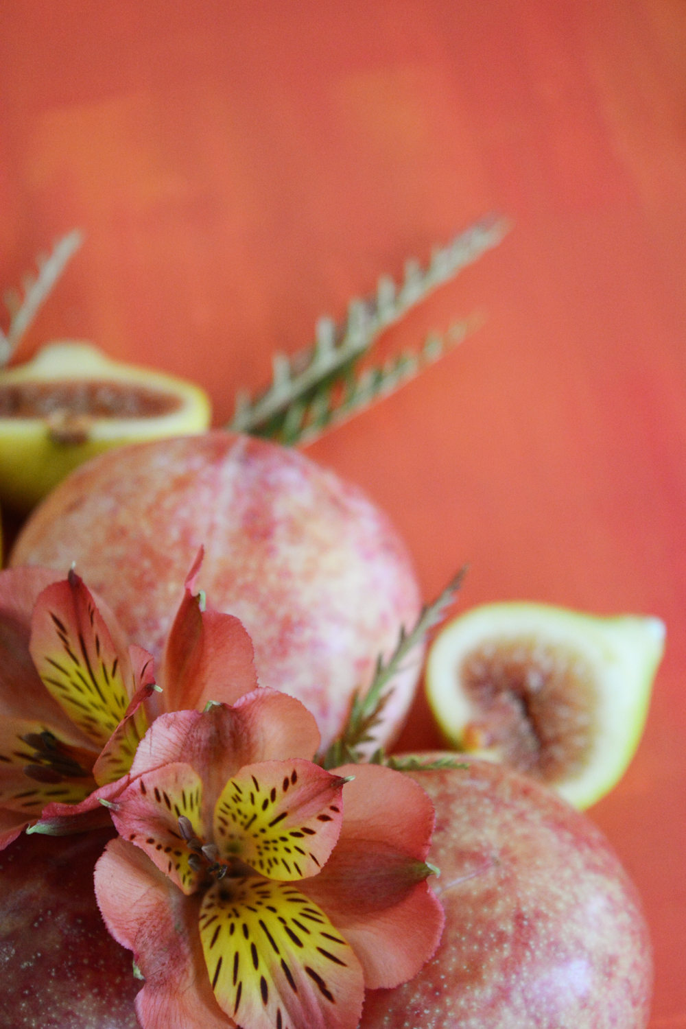 Fesh fruit art, rust