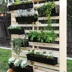 DIY Living Wall with Moveable Planters