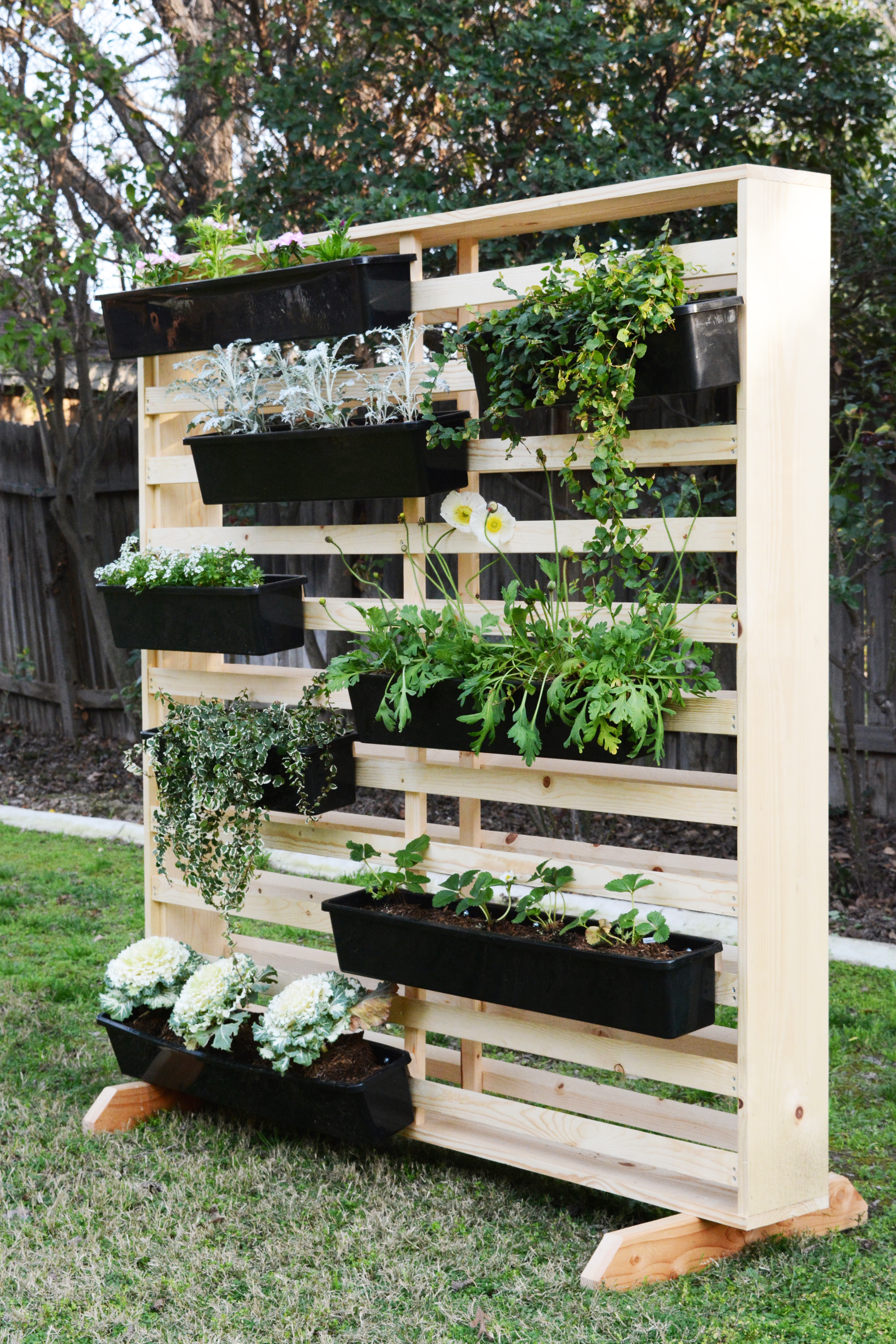 Vertical Living Wall with Moveable Planters