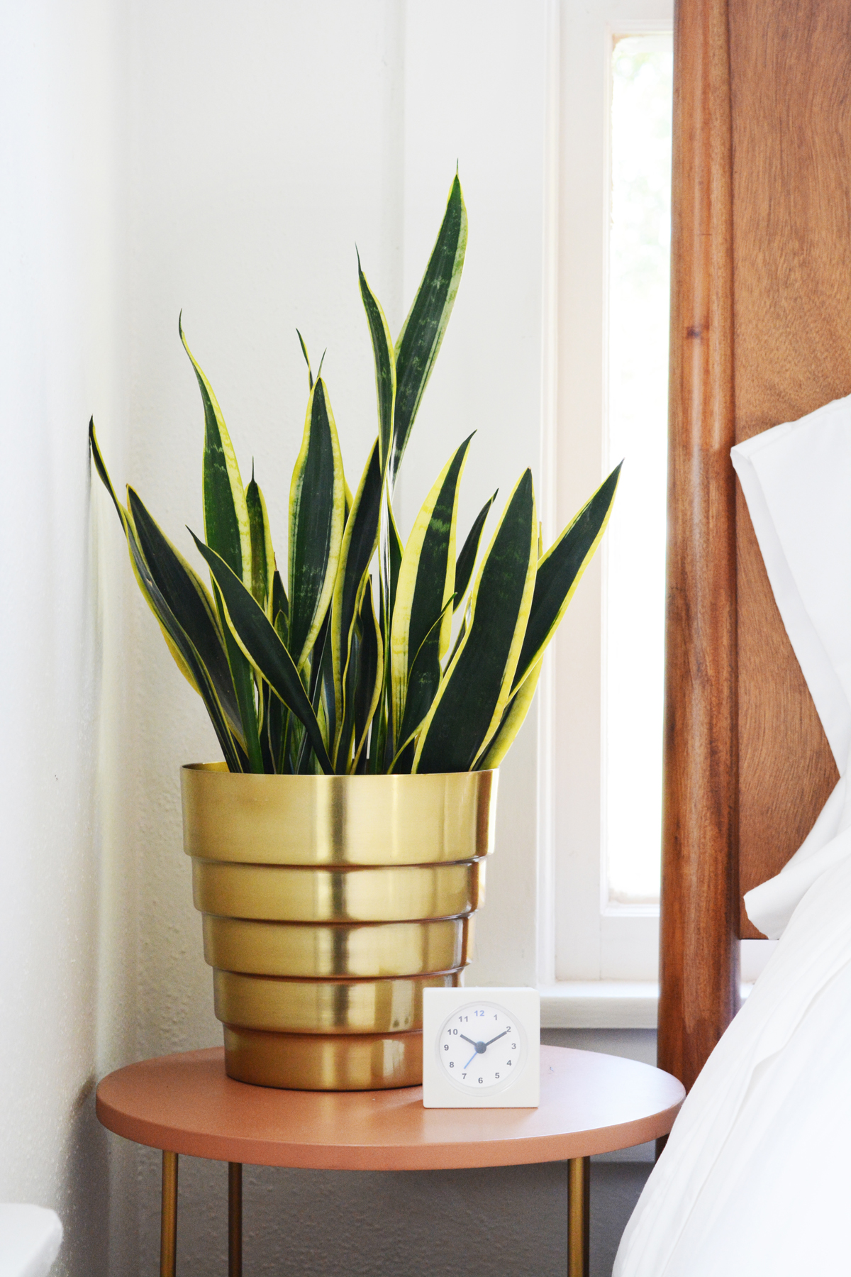 Oleander + Palm Guesthouse Bedrroom Reveal