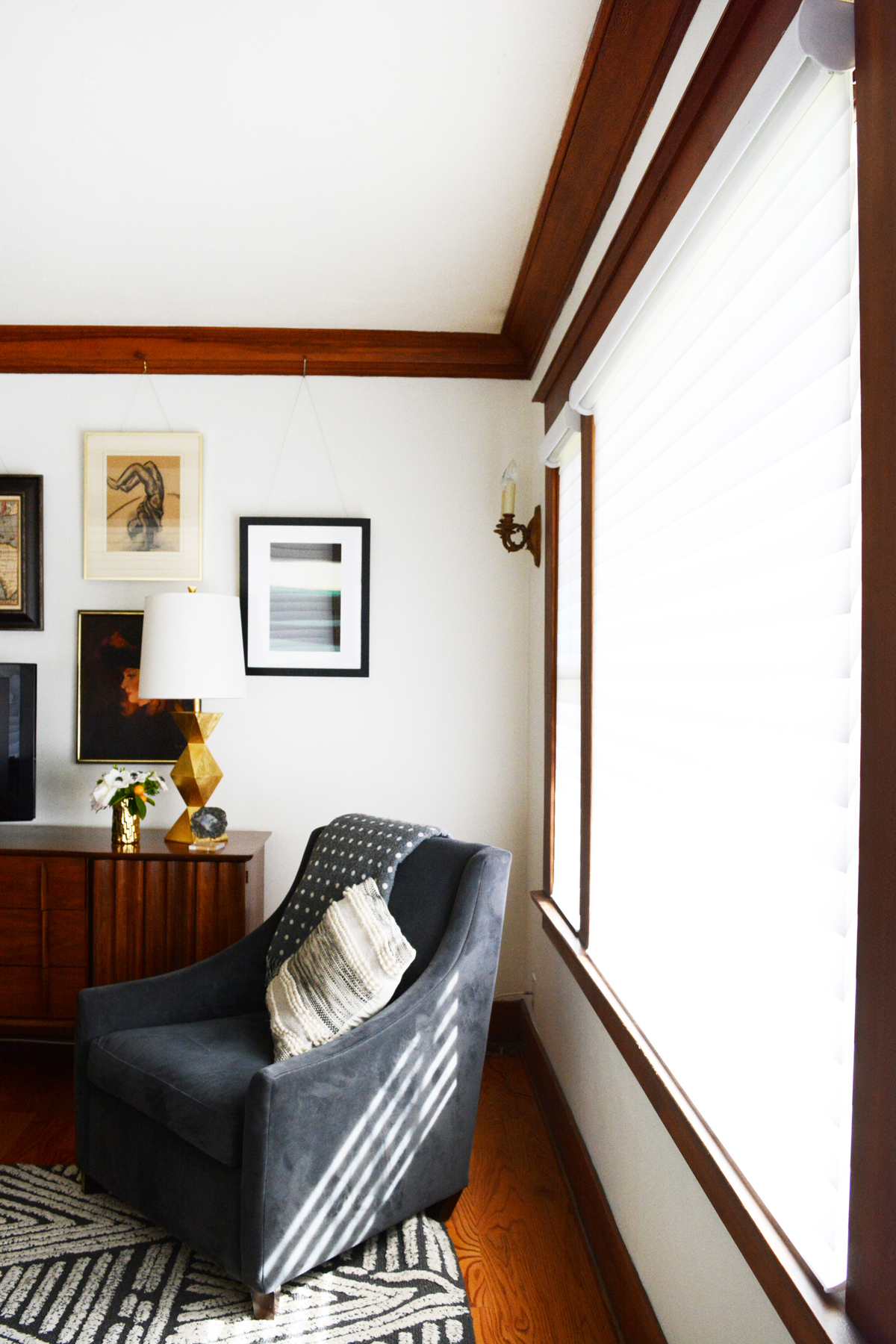 Living Room Shades