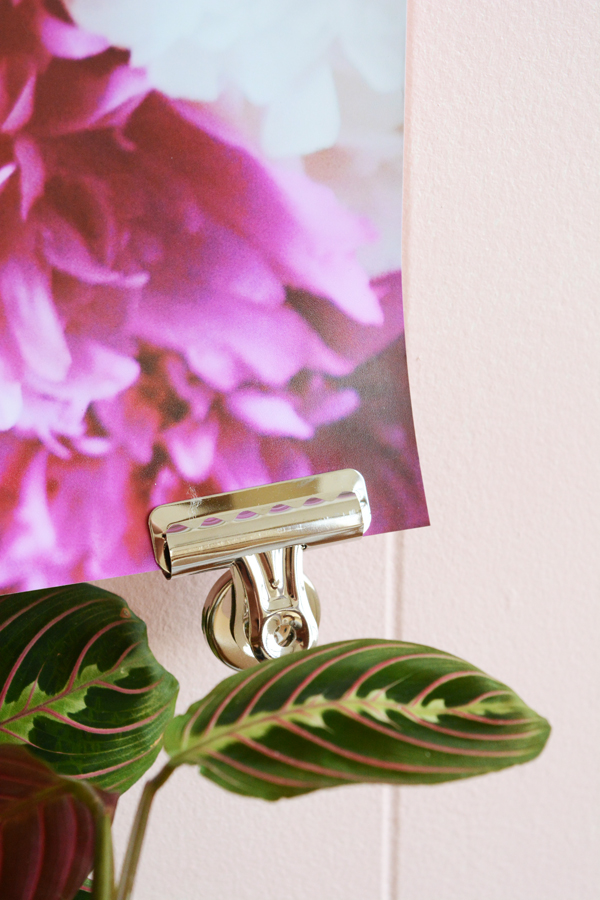 3 Ways to Hang a Poster and Free Peonies Print Download