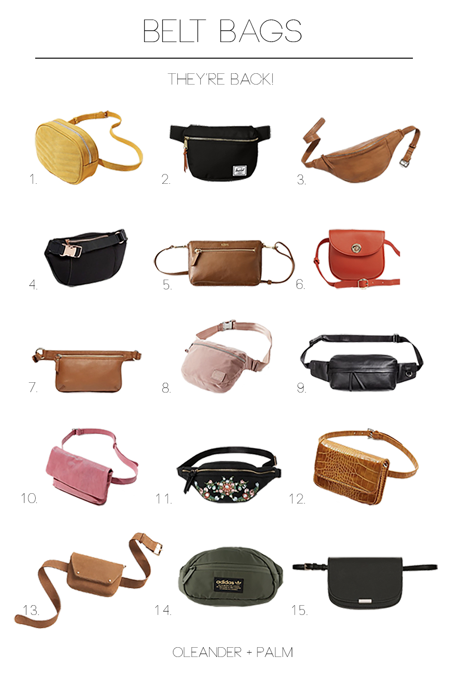 Belt Bags, Fanny Packs, and Bum Bags